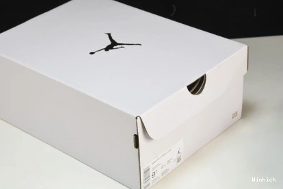 BLUE DC0774-141 1 ICE Low Retro Jordan 0821